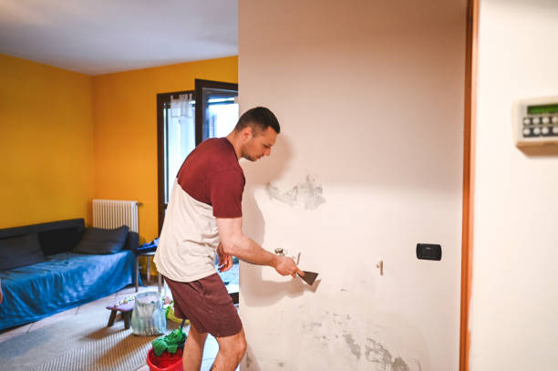 Best Commercial Mold Removal  in Berry Hill, TN