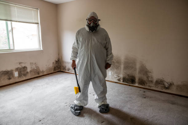 Best Residential Mold Removal  in Berry Hill, TN